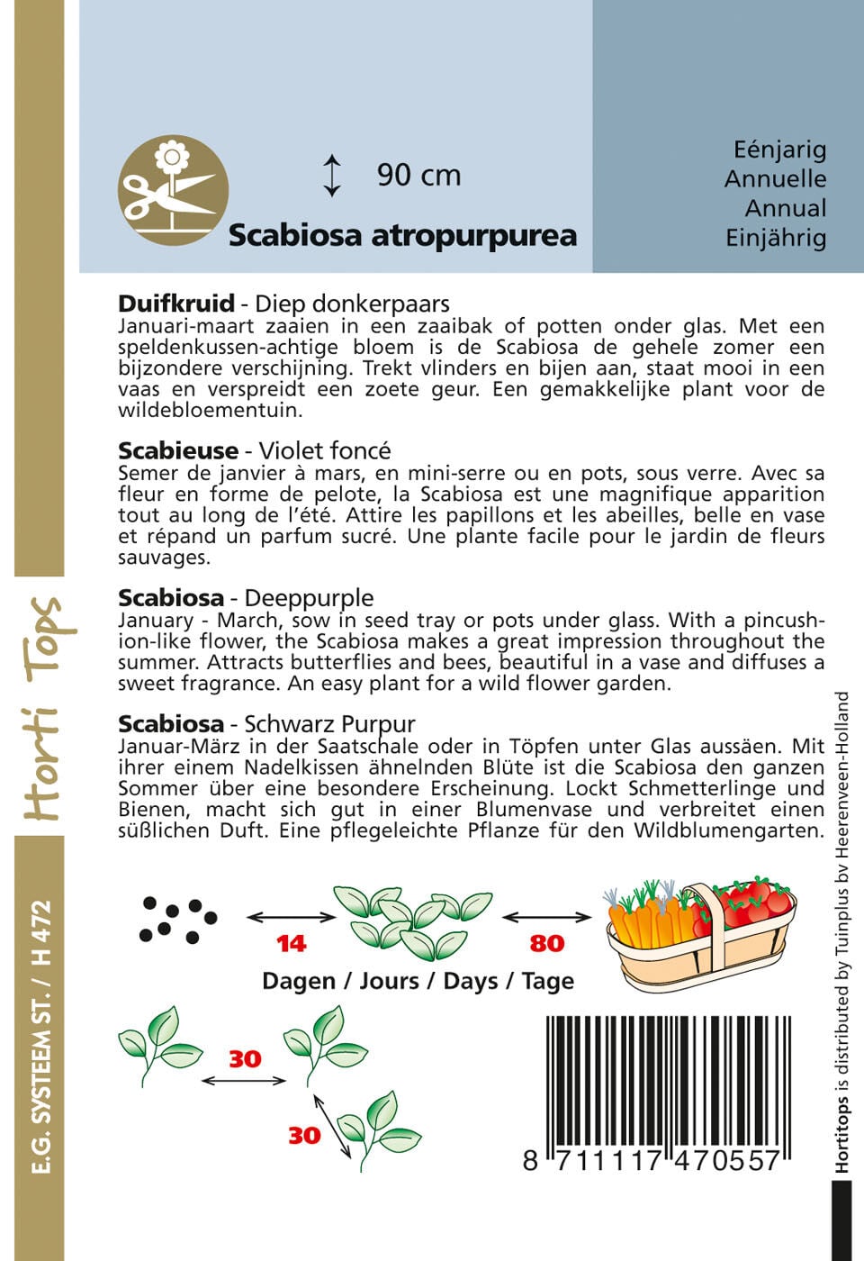 Hortitops Duifkruid Sweet paars Scabiosa atropurpurea - Bloemzaden