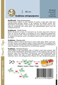 Hortitops Duifkruid Sweet paars Scabiosa atropurpurea - Bloemzaden