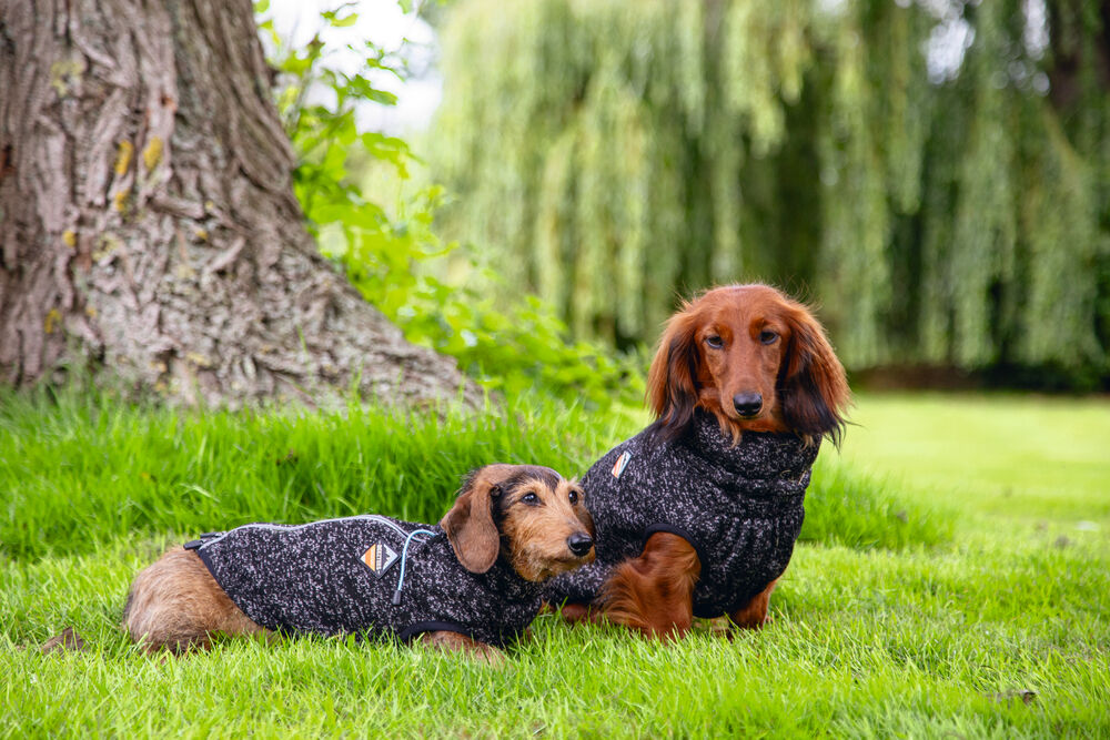 Beeztees Celia - Hondentrui - donkergrijs - XS