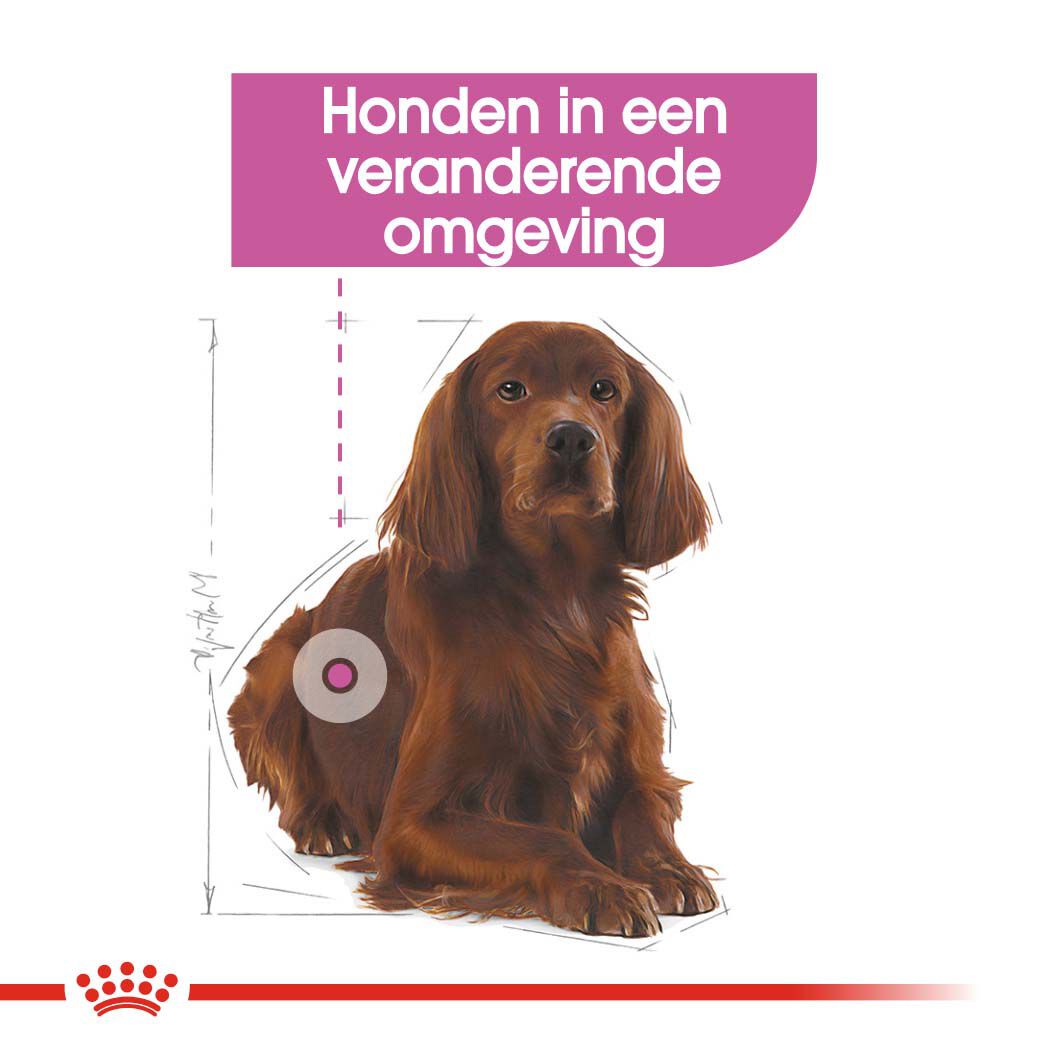 Royal Canin Relax Care Medium - Hondenvoer - 3 Kilogram - gevogelte
