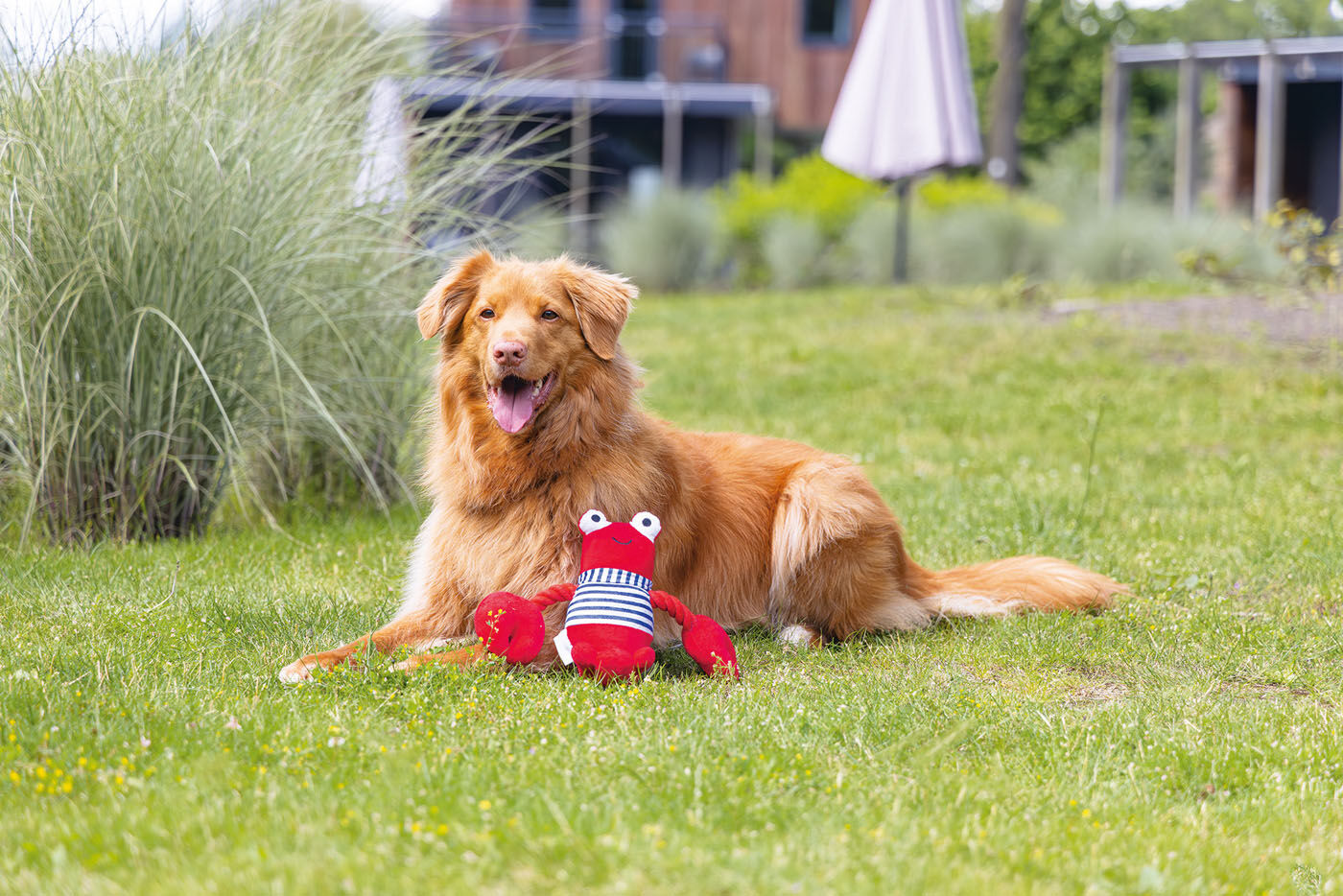 Beeztees Kreeft Frits - Knuffel - Hondenspeeltje - Rood - 13x38x24 cm
