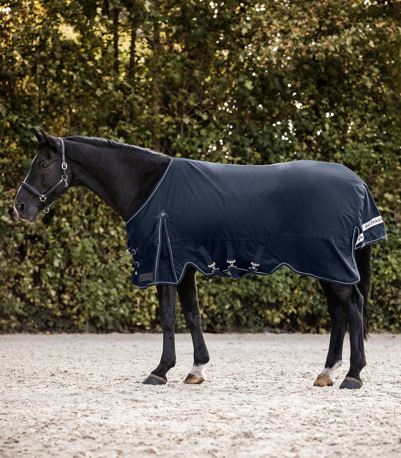 Waldhausen Scandic 200 gr - Winterdeken - Paardendeken Waldhausen Scandic 200 gr - Winterdeken - Paardendeken