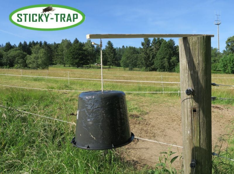Sticky Trap - Dazenval Emmer - Zwart