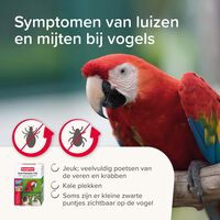 Beaphar Anti-parasiet 150 - Vogels, Konijnen en  Knaagdieren vanaf 300gr - Pipetten - 4 Stuks - 9.5x6.5x2.5 cm