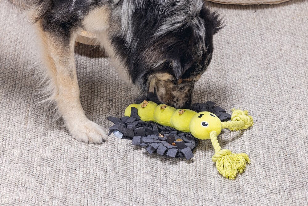 Beeztees Hide and Seek Vlinder - Snuffelmat - Hondenspeelgoed - 5x24.5x30 cm