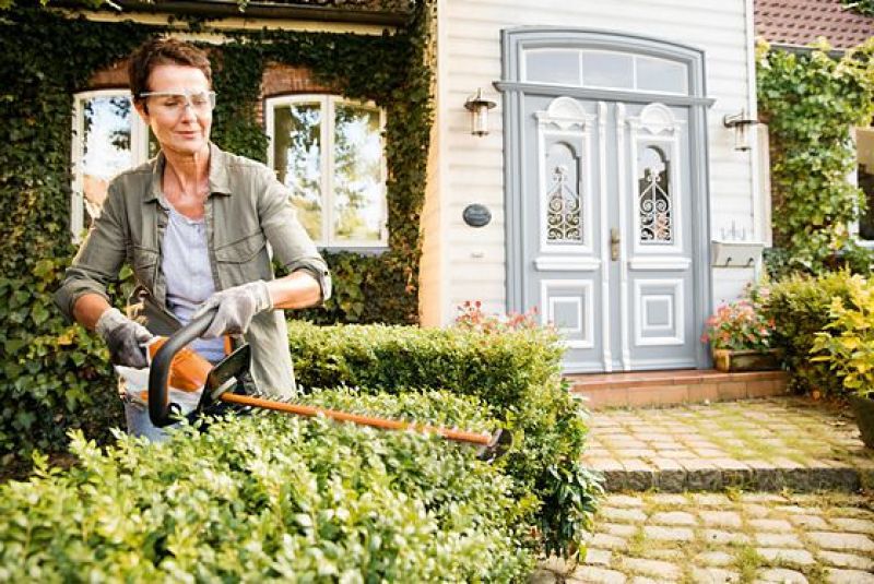 STIHL HSA 45 ( incl. accu en lader ) - Accu-heggenschaar - 50 cm