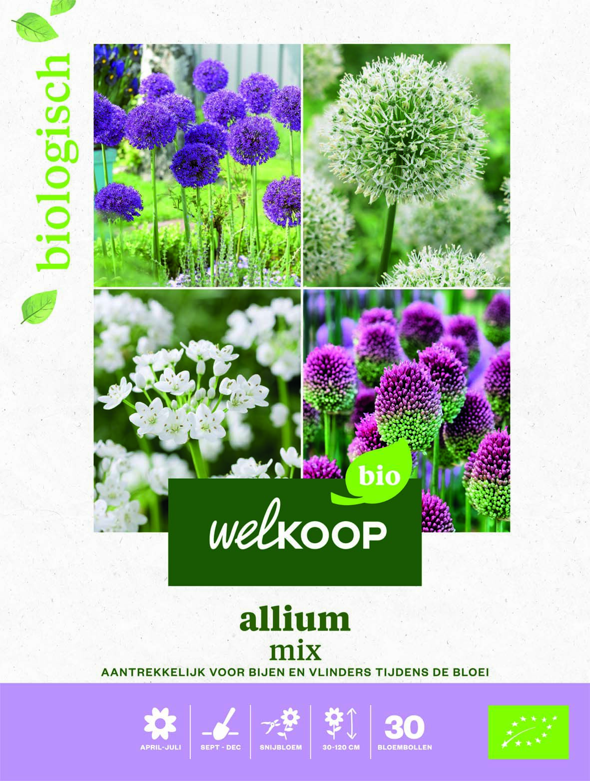 Welkoop Biologisch Allium mix - Bloembollen Welkoop Biologisch Allium mix - Bloembollen
