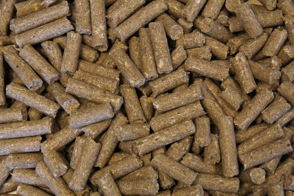 Voermeesters Opfok - Fokkerij - 20 Kilogram - Zak