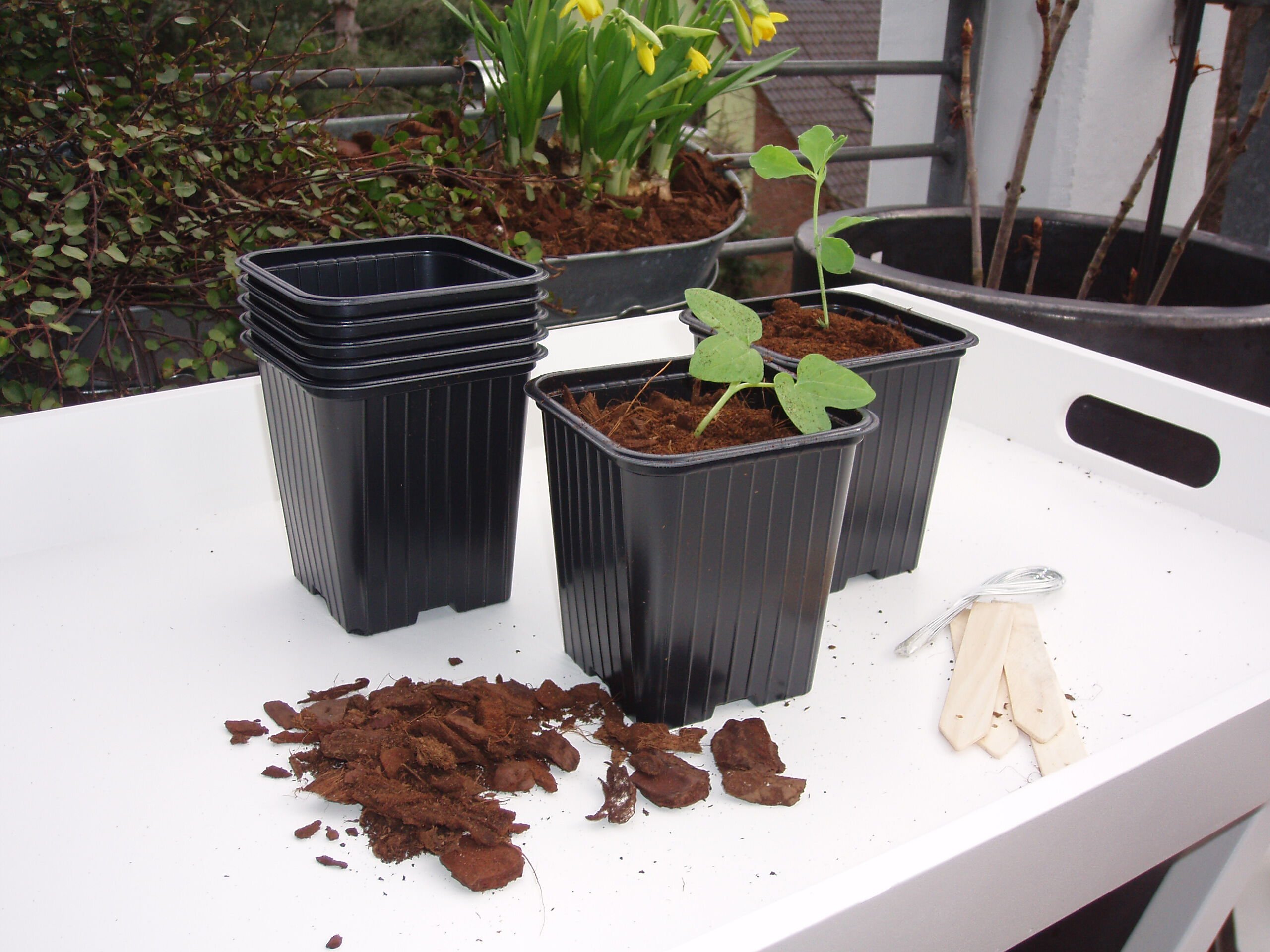 Nature Stekpotjes - Kweekbenodigdheden