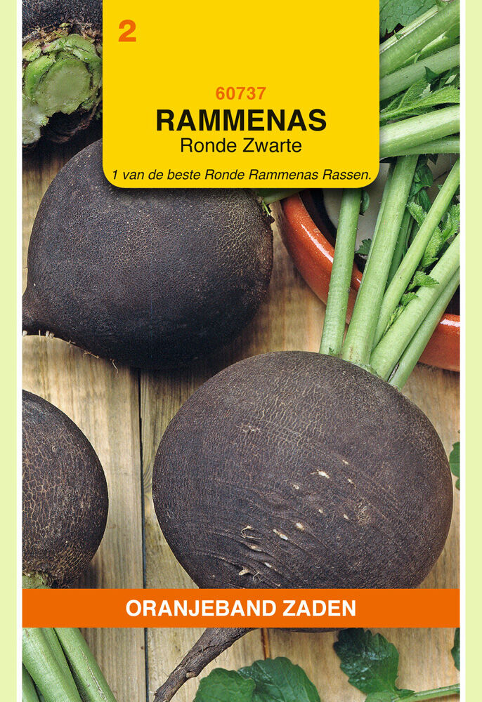 Oranjeband zaden Rammenas Ronde Zarte - Groentezaden