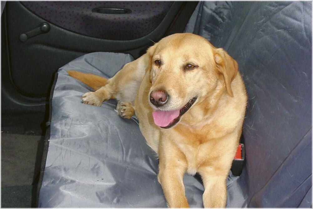 Beeztees Autodeken  Universeel - 42x14x130 cm