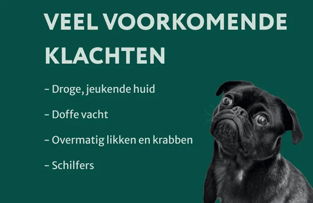 Dogsuppy Omega 3-6-9 - Huid en Vacht