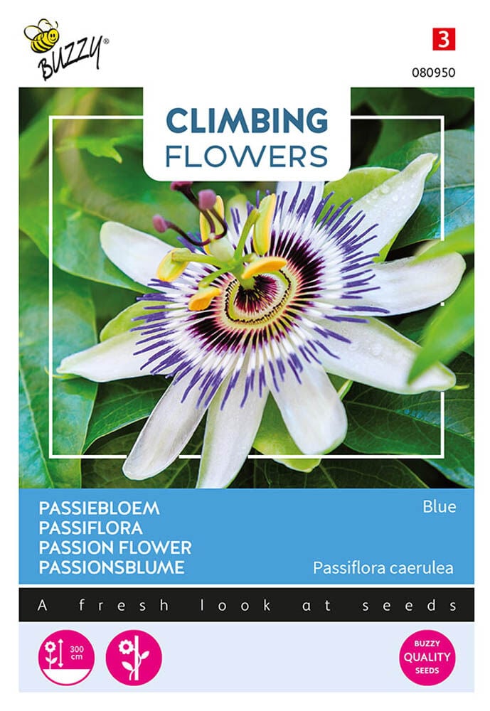 Buzzy Climbing Flowers Passiebloem Blauw - Bloemzaden Buzzy Climbing Flowers Passiebloem Blauw - Bloemzaden