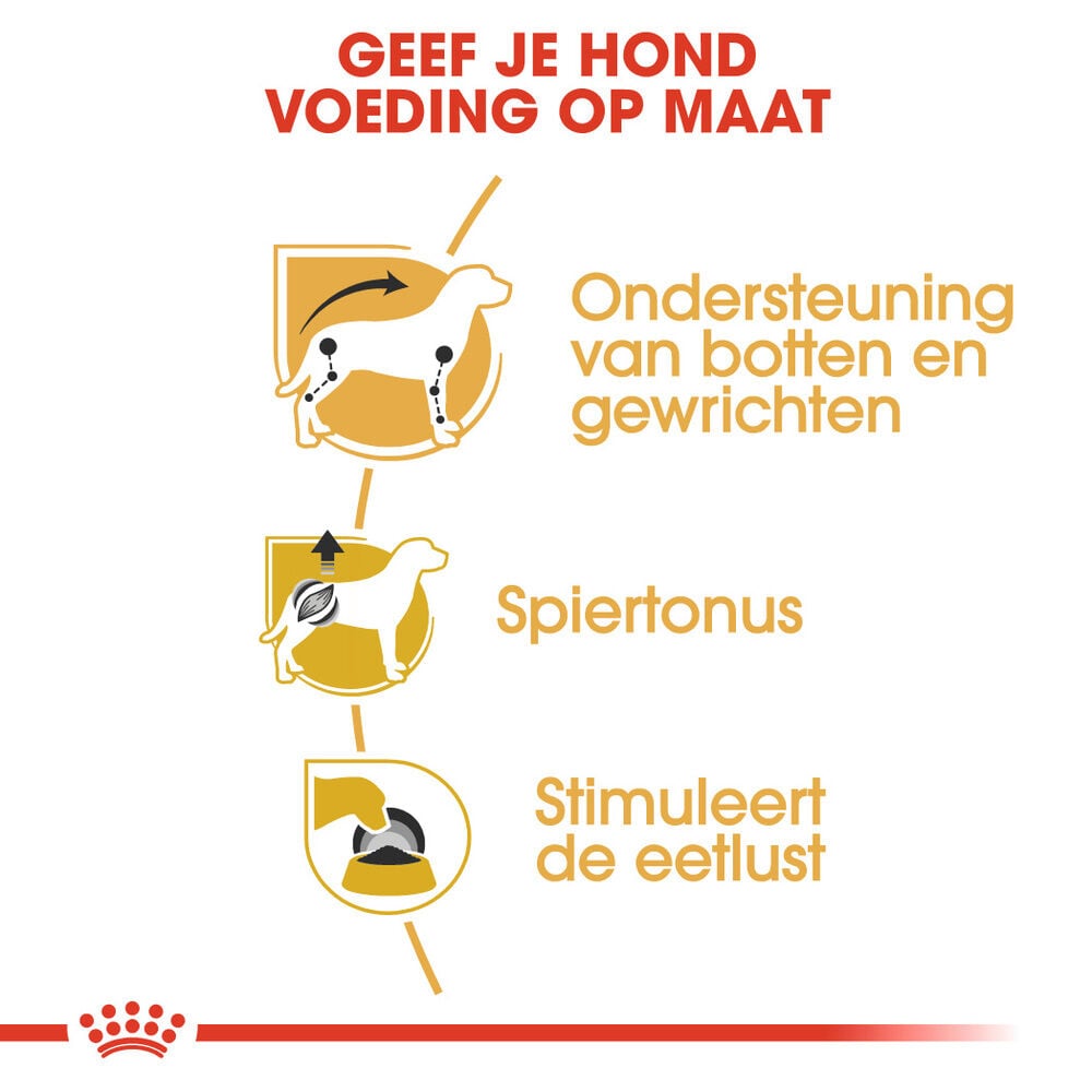 Royal Canin Dachshund Adult Pouch - Hondenvoer - 12x85 gram - 1020 Gram - gevogelte