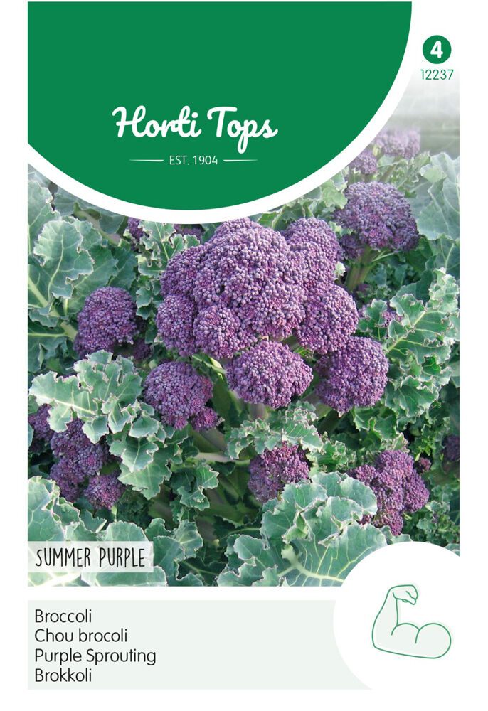 Hortitops Broccoli Brassica oleracea Summer Purple - Broccoli