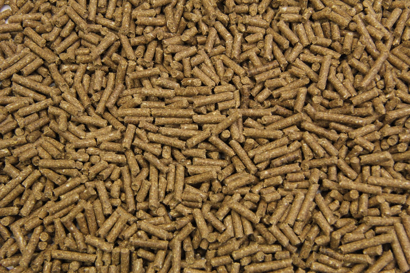 Subli Basisbrok - Basisvoeding - Paardenvoer - 20 Kilogram - Zak