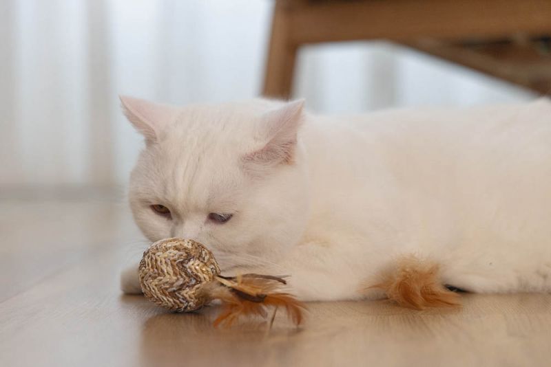 Beeztees Balletje Tuxa - Kattenspeeltje - Beige