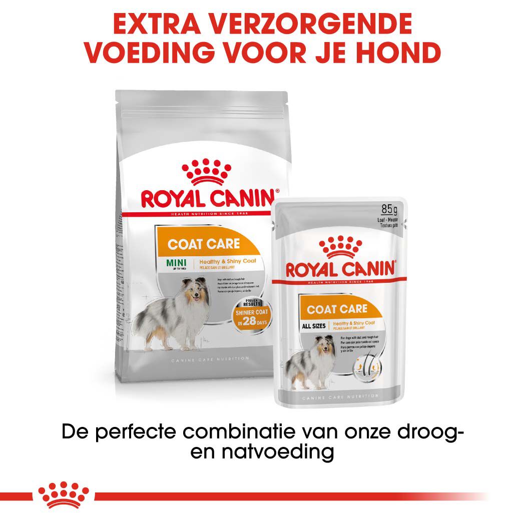 Royal Canin Coat Care Wet - Hondenvoer - 1020 Gram - gevogelte