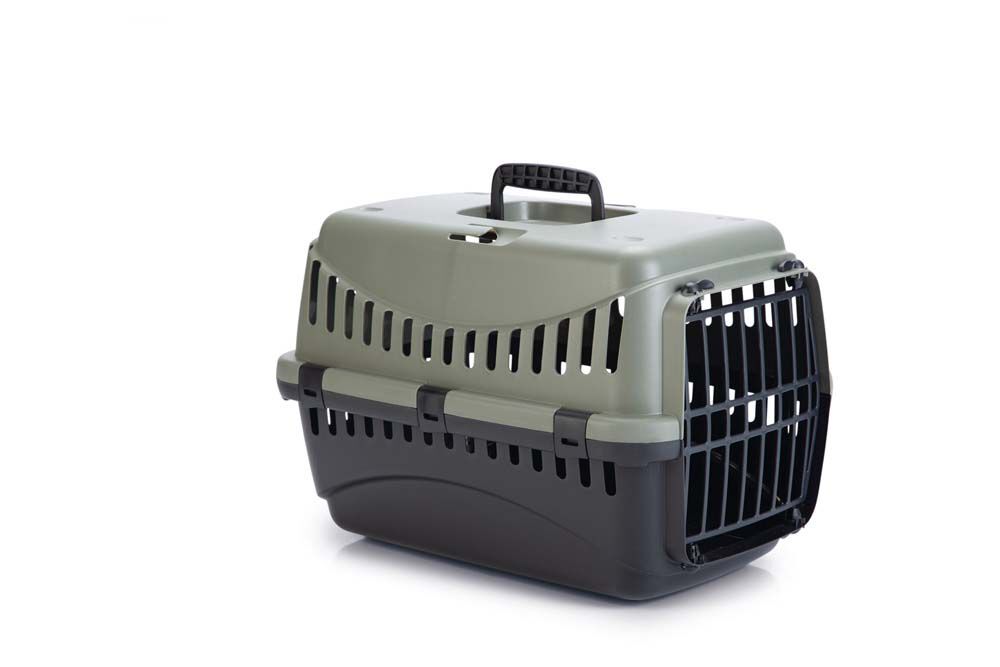 Beeztees Gipsy eco - Reismand - Groen - 29x26x45 cm Beeztees Gipsy eco - Reismand - Groen - 29x26x45 cm