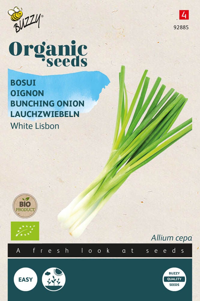 Buzzy Bosui Allium cepa L. White Lisbon - Uien