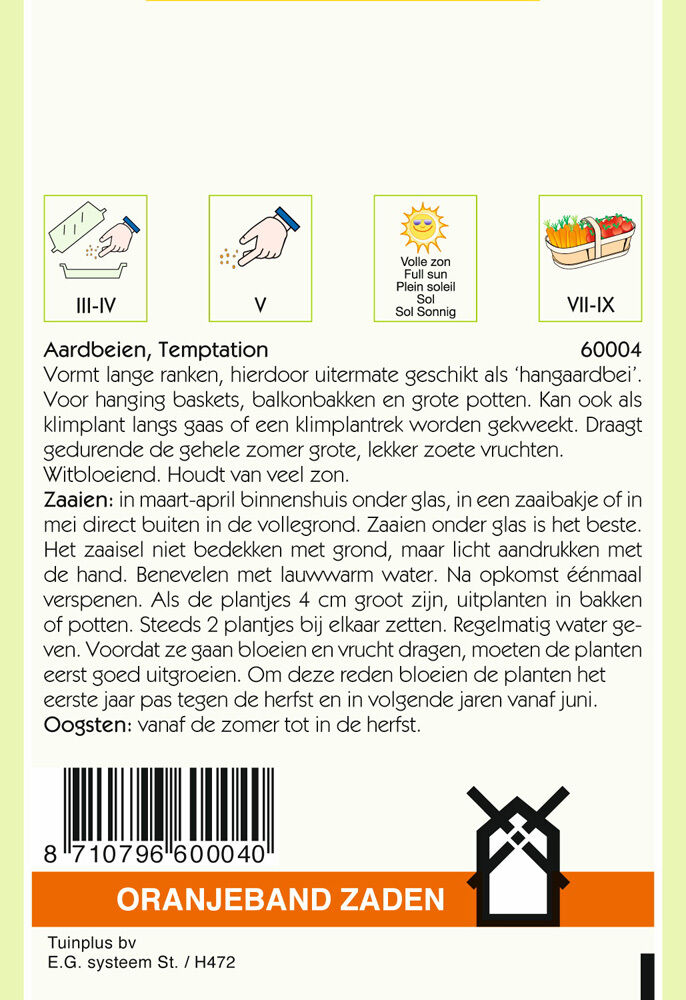Oranjeband zaden Hangaardbeien Temptation - Groentezaden