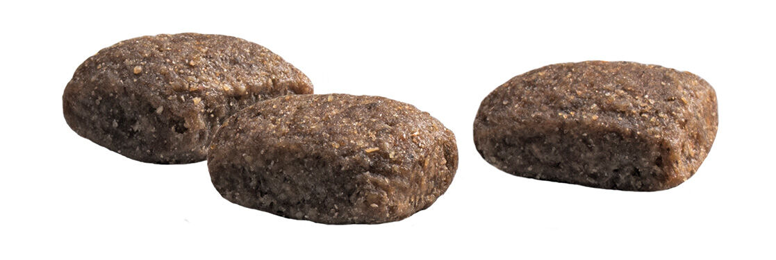 Prins Protection Croque Basic Excellent - Hondenvoer - 2 Kilogram - kip