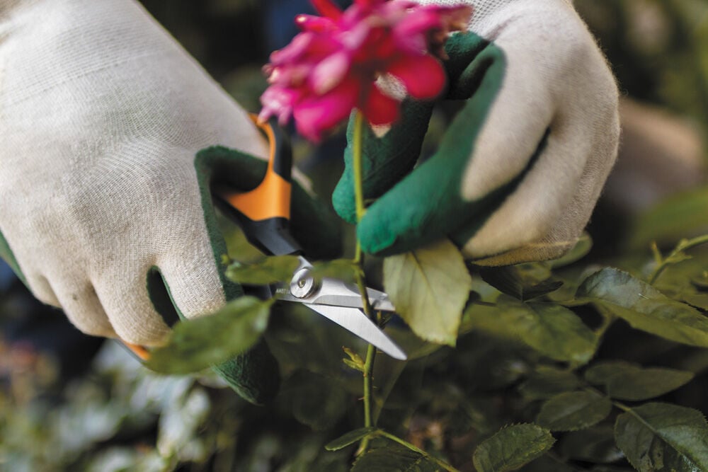 Fiskars Solid Snip SP15 Bloemen - Snoeischaar