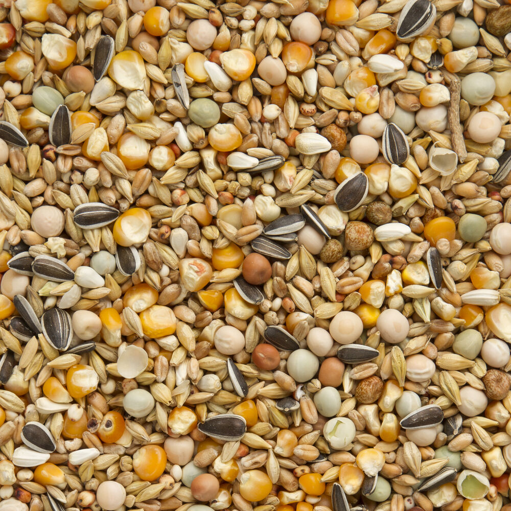 Beyers Original Rust Wintermengeling - Duivenvoer - 25 Kilogram