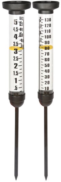 Esschert Design - Regenmeter - Zwart/transparant