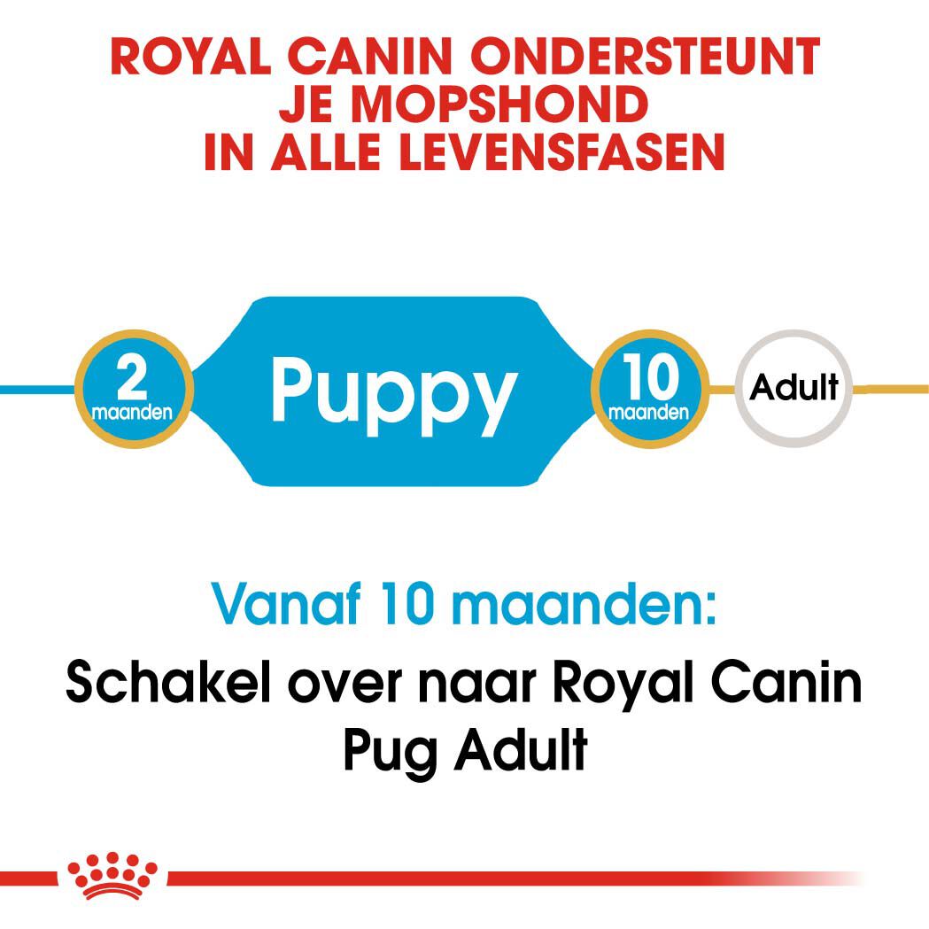 Royal Canin Mopshond Puppy - Hondenvoer - 1.5 Kilogram - gevogelte