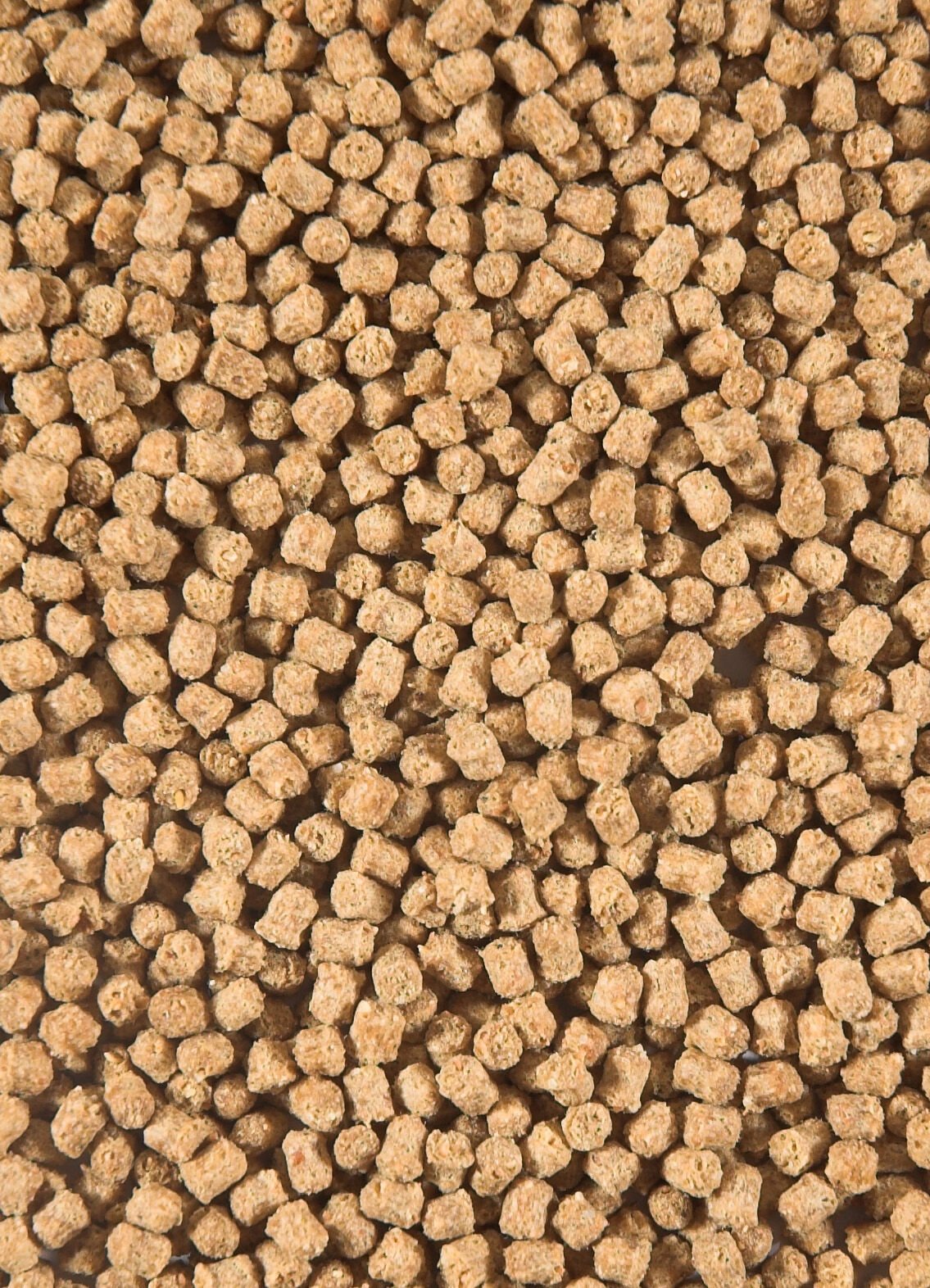 Velda Winter - Pellets - Vijvervissenvoer - 3000 Milliliter