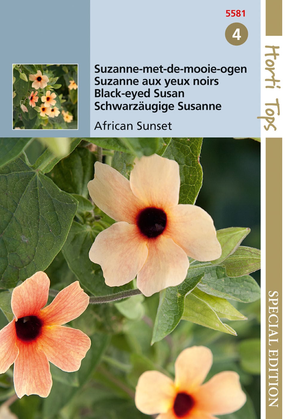 Hortitops Suzanne-met-de-mooie-ogen mix Thunbergia alata  - Bloemzaden