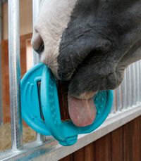 Bizzy Ball - Liksteenhouder - Aqua