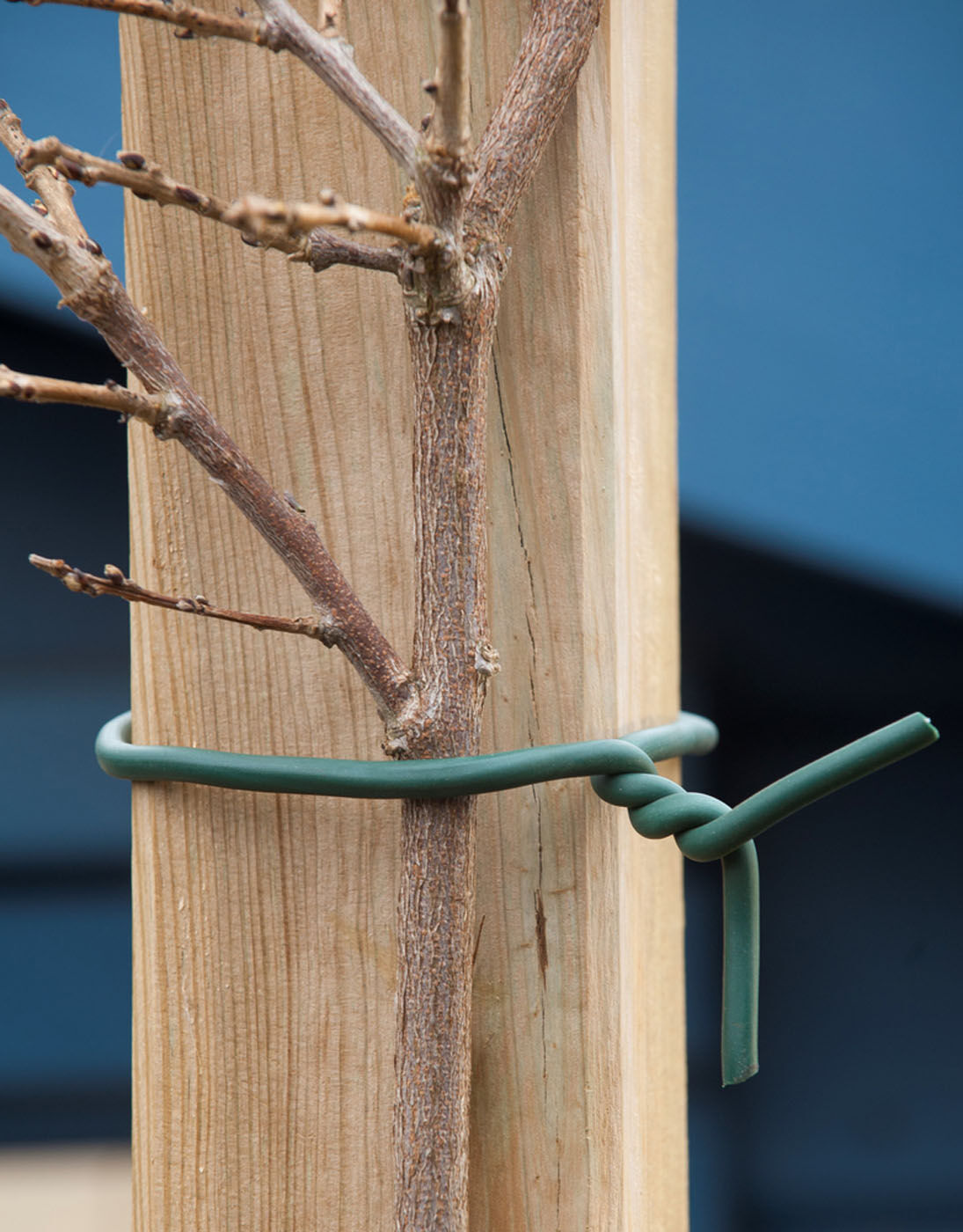 Nature - Rubberband - 10 meter - Groen - 16.5x10x4 cm - 1000 cm