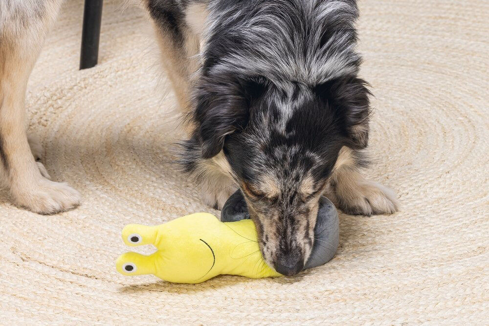 Beeztees Hide and Seek Slak - Snuffelmat - Hondenspeelgoed - Multi - 5x10.5x72 cm