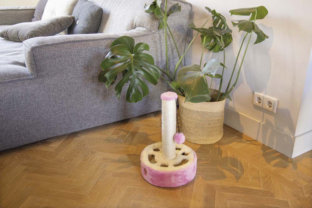 Beeztees Gotcha - Krabpaal - Multi - 1x27x1 cm