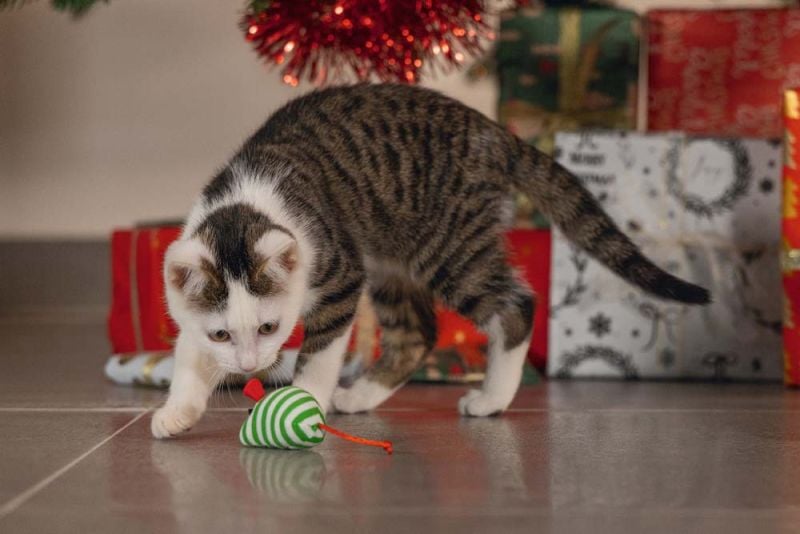 Beeztees Kerstmuizen - Kattenspeeltje - Groen