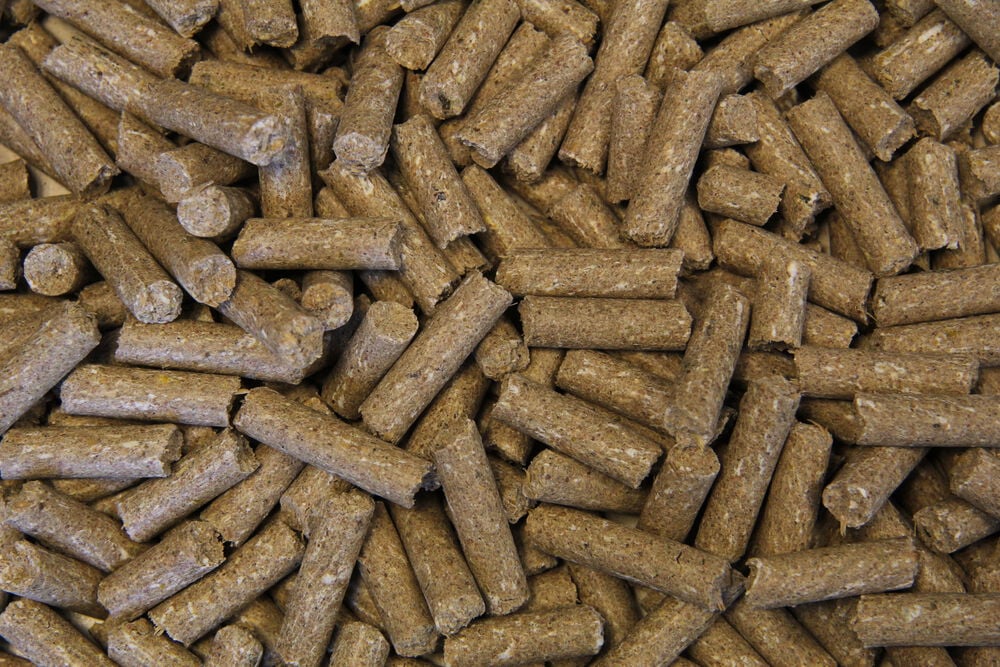 Voermeesters Triomf - Sport/ Prestatie - 20 Kilogram - Zak