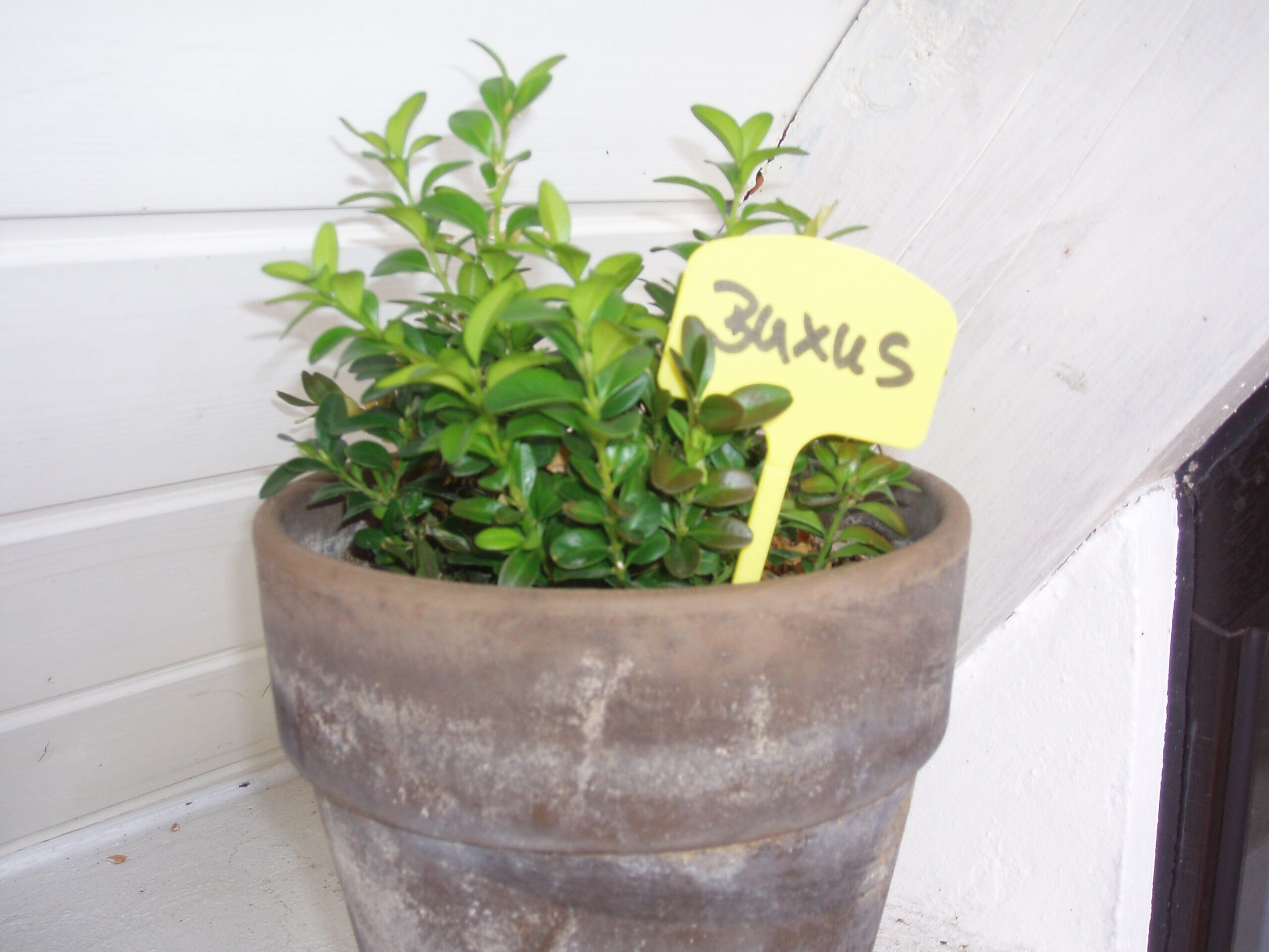 Nature Plaatetiketten - Kweekbenodigdheden