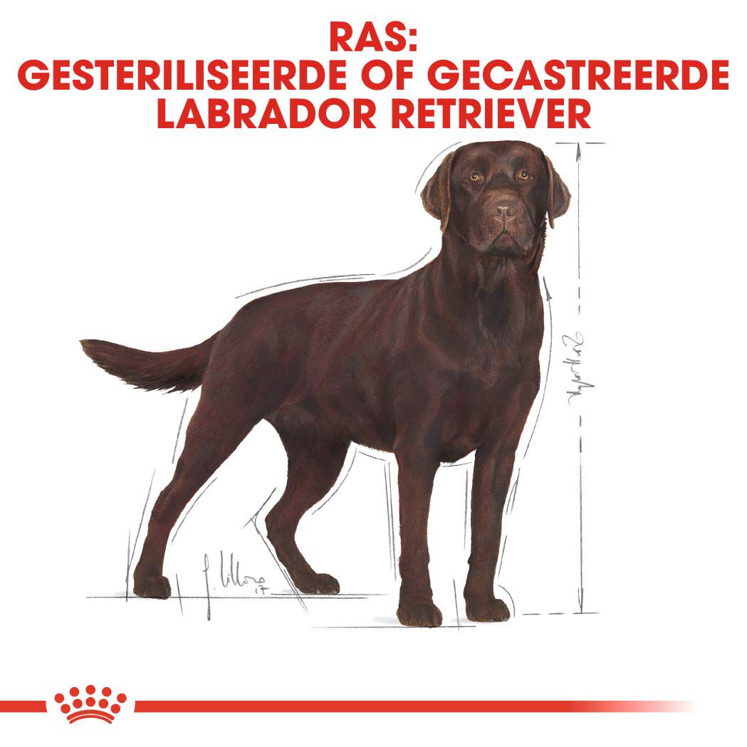 Royal Canin Labrador Retriever Sterilised - Hondenvoer - 3 Kilogram - gevogelte