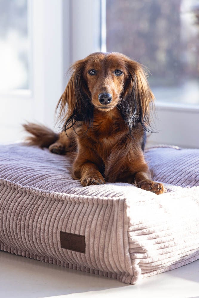 Designed by Lotte Ribbed - Hondenkussen - roze - 15x55x70 cm - S