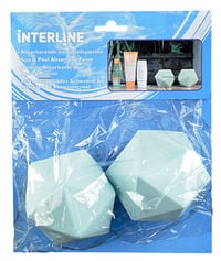 Interline Absorberend - Zwembadspons - 2 Stuks