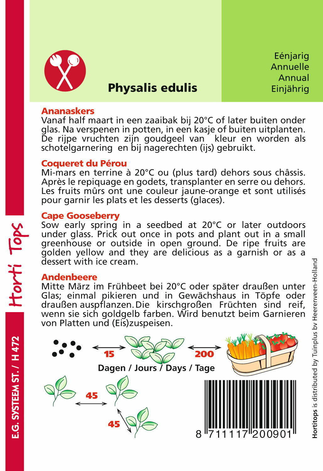 Hortitops Ananaskers Peruviana - Groentezaden