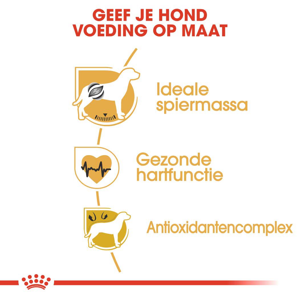 Royal Canin Boxer Adult - Hondenvoer - 3 - gevogelte