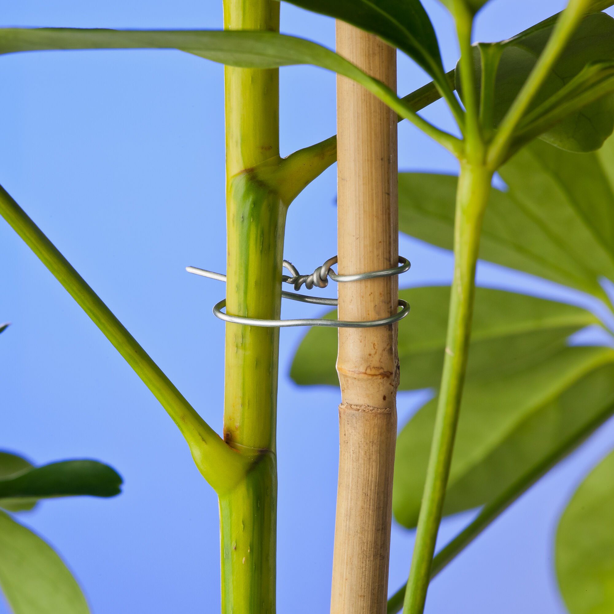 Nature Binddraad Verzinkt - Touw en Bindmaterialen - 14x8.5x13 cm - 5000 cm Nature Binddraad Verzinkt - Touw en Bindmaterialen - 14x8.5x13 cm - 5000 cm