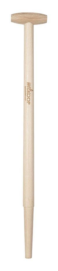 Welkoop - Spearwel - Losse stelen - Essen - 80 cm