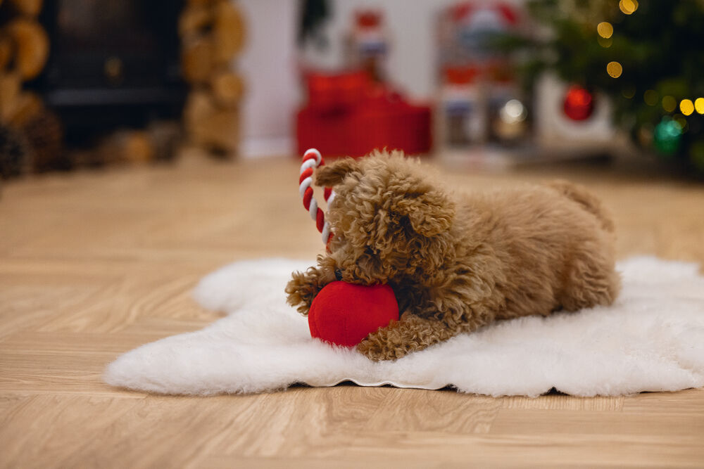 Beeztees Kerstbal Jingle Knuffel - Hondenspeelgoed - Rood