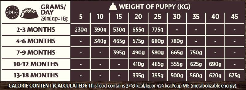 Wellness CORE Puppy Large-Breed - Hondenvoer - 10 Kilogram - kip