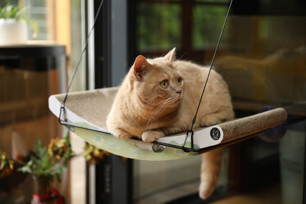 JoyCat - Raamschommel - Frost - 15x52x11.5 cm