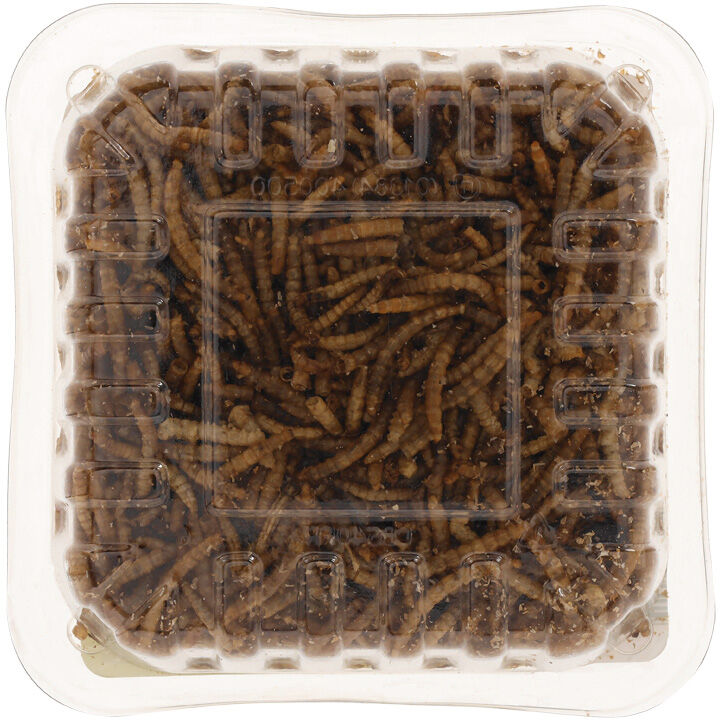 Welkoop - Gedroogde meelwormen - Tuinvogelvoer - 50 Gram - Meelwormen